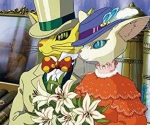 cat